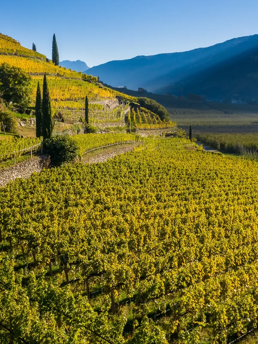 Josmoar-Weingut-Kastelbell-Vinschgau-Lage-Pfaffenegg